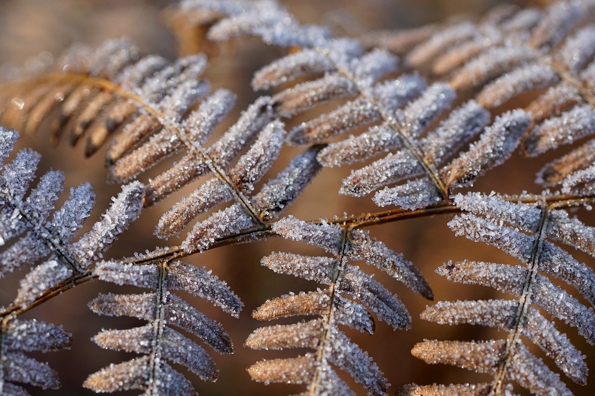 Гороскоп для всіх знаків зодіаку на 20 лютого 2026 року