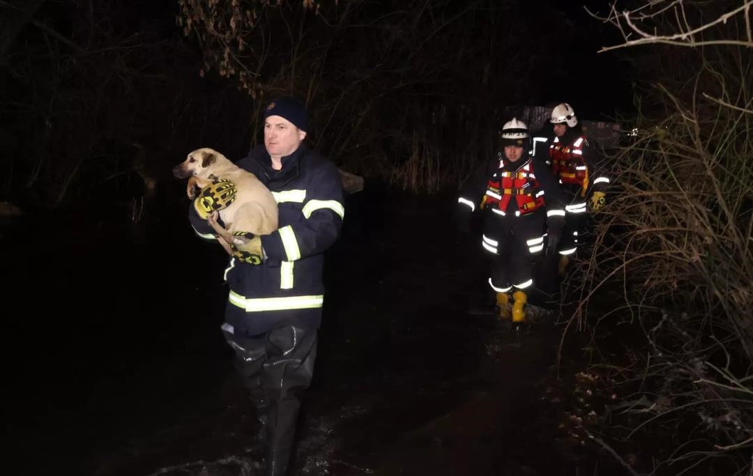 У Кропивницькому через розлив річки затопило притулок для тварин