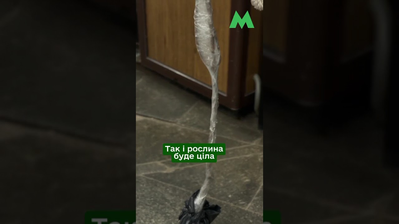 Як перевозити саджанці у столичному метро: правила